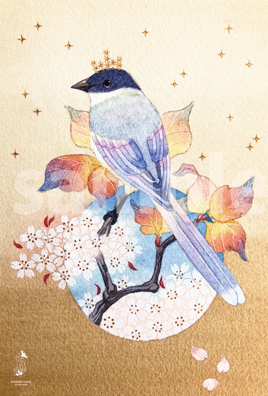 【ポストカード】2025年4月ポスカ新作セット<13枚セット>