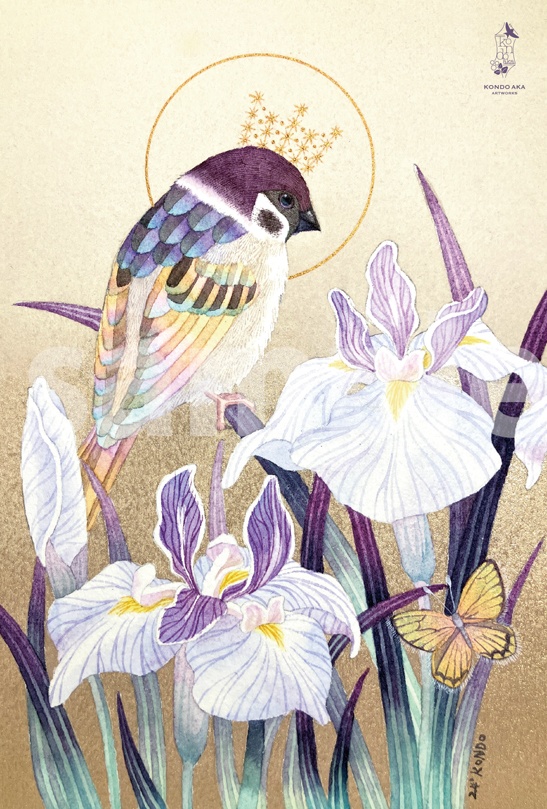 【ポストカード】2025年4月ポスカ新作セット<13枚セット>