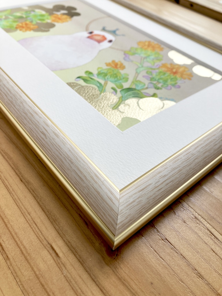 ●【NEW】とくべつ I 白文鳥