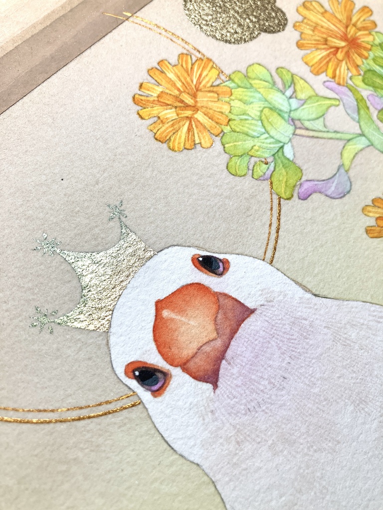 ●【NEW】とくべつ I 白文鳥