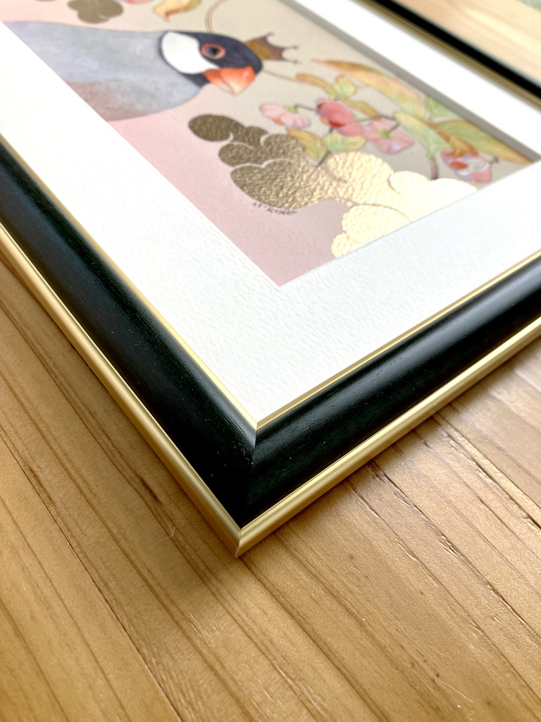 ●【NEW】とくべつ II 文鳥