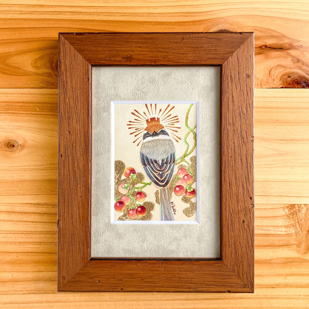 【原画】モズとヒヨドリジョウゴ