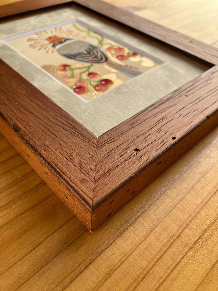 【原画】モズとヒヨドリジョウゴ