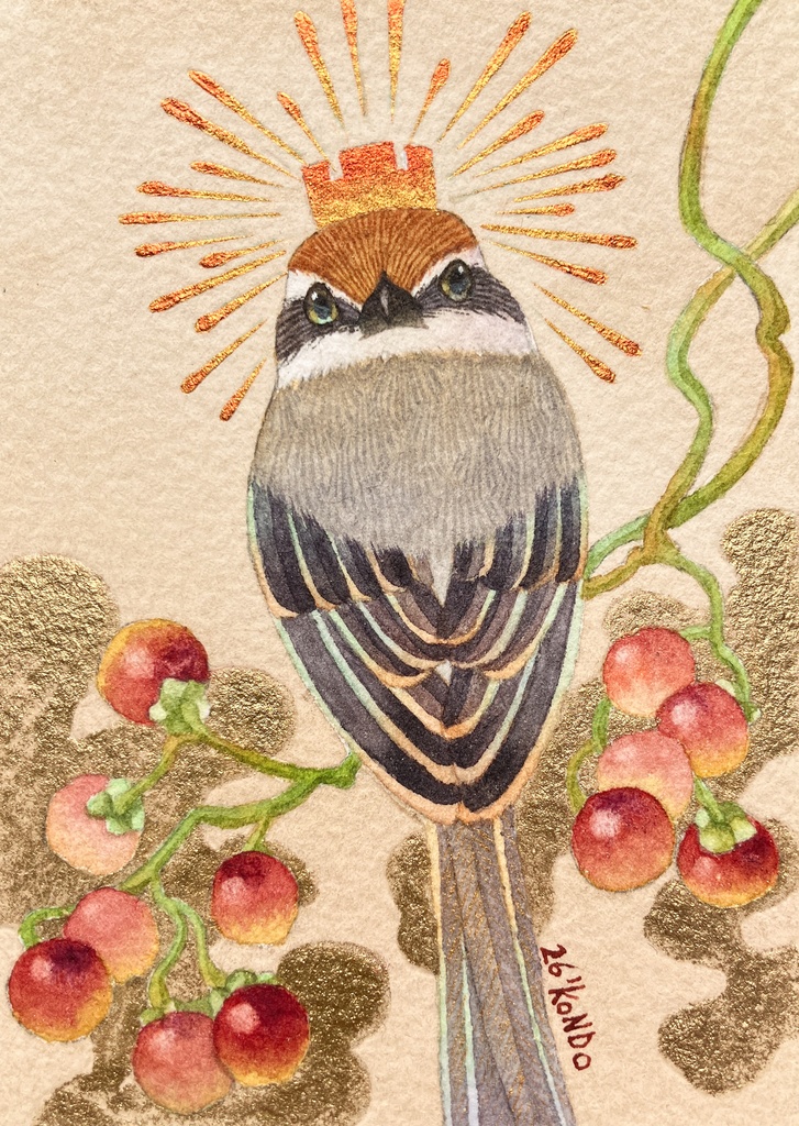 【原画】モズとヒヨドリジョウゴ