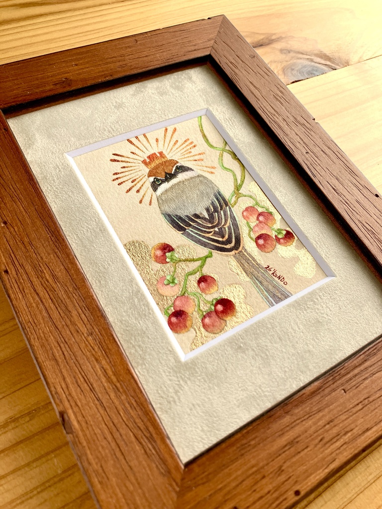 【原画】モズとヒヨドリジョウゴ