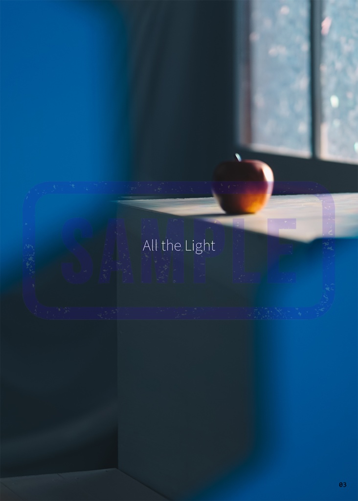 All the Light 恋と深空 マヒル写真集(Xログ本)