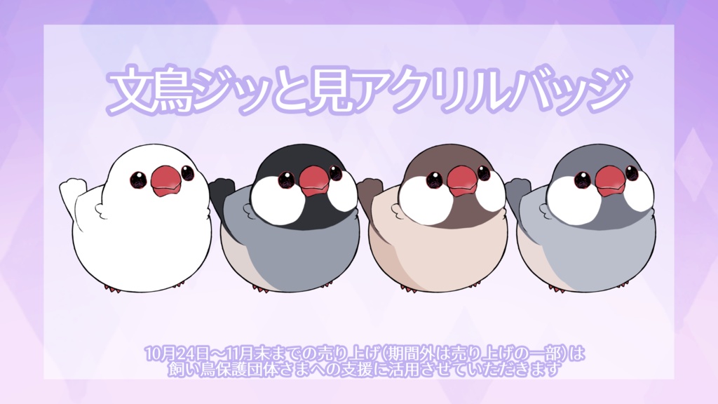 文鳥ジッと見アクリルバッジ