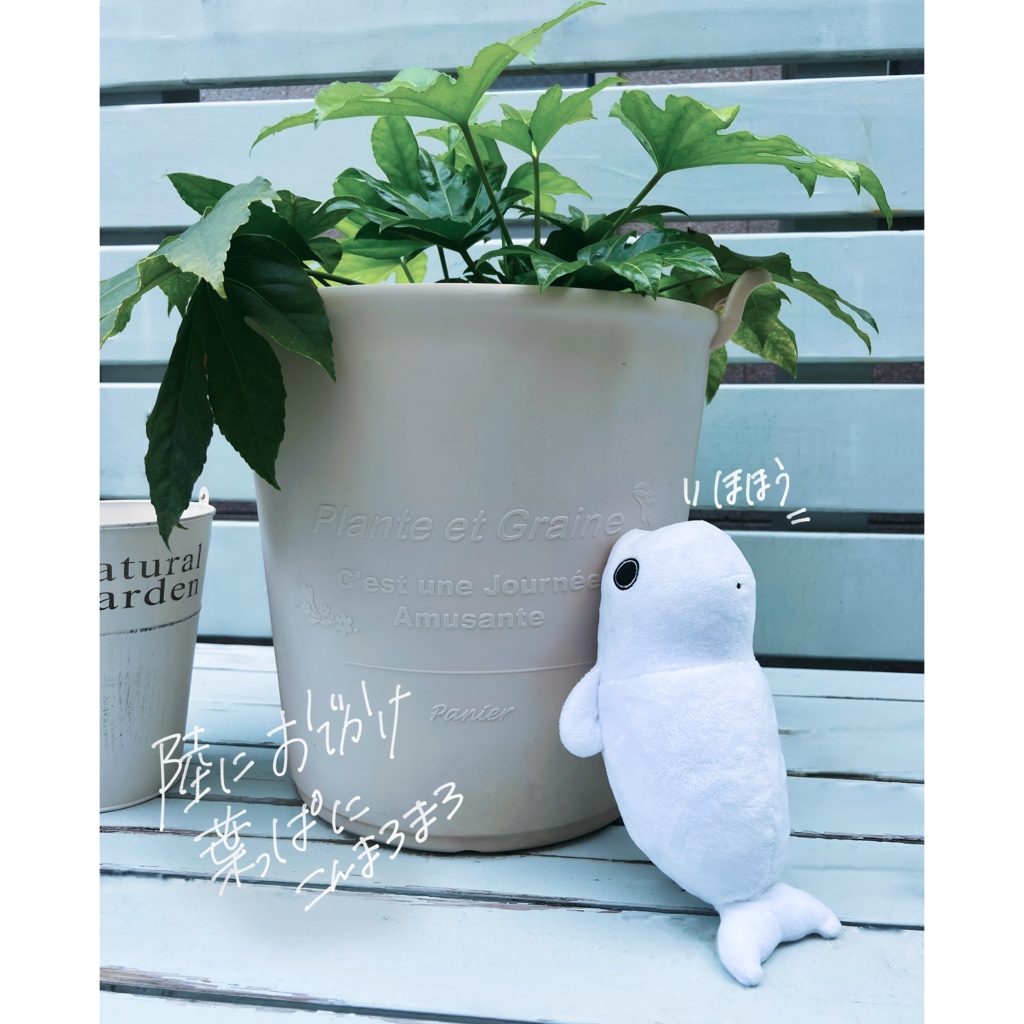 【期間限定】まろのぬい【シロイルカ】