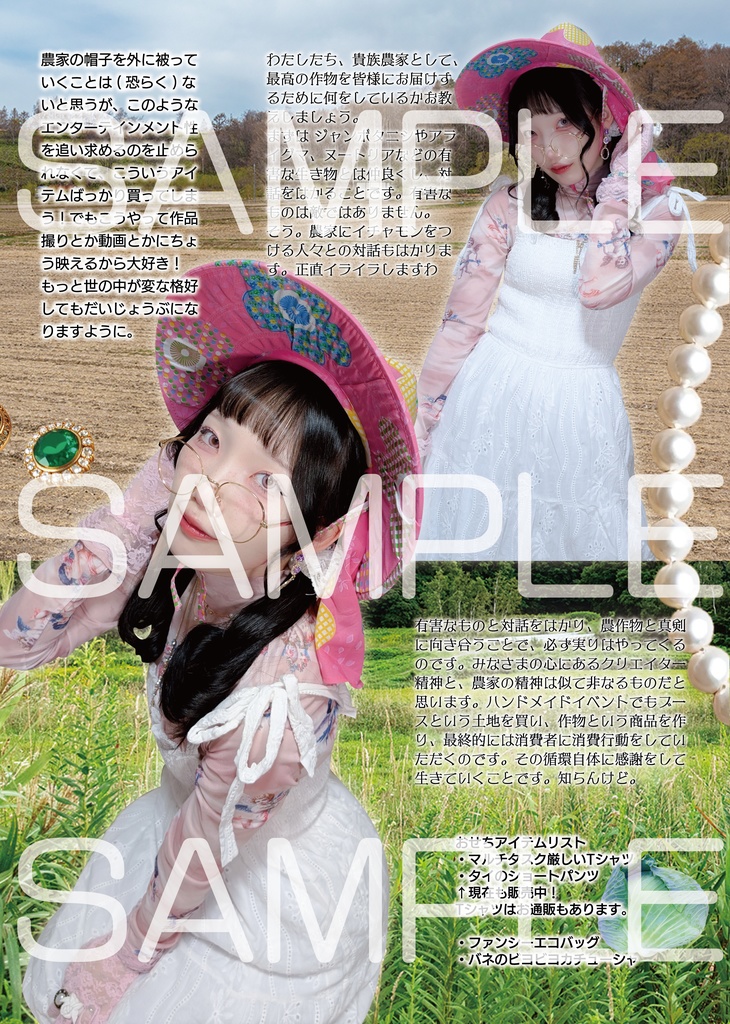 ぴのんのファンブック「PIT-IN」VOL.1