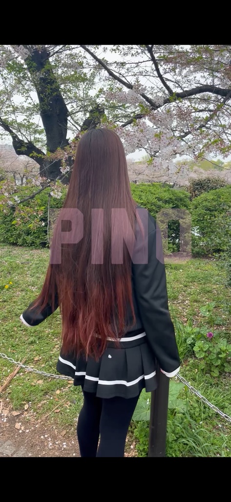 お花見