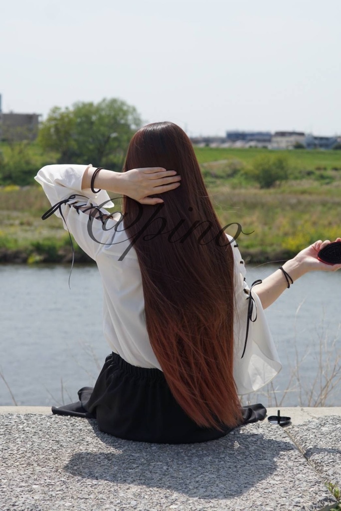 水辺の撮影