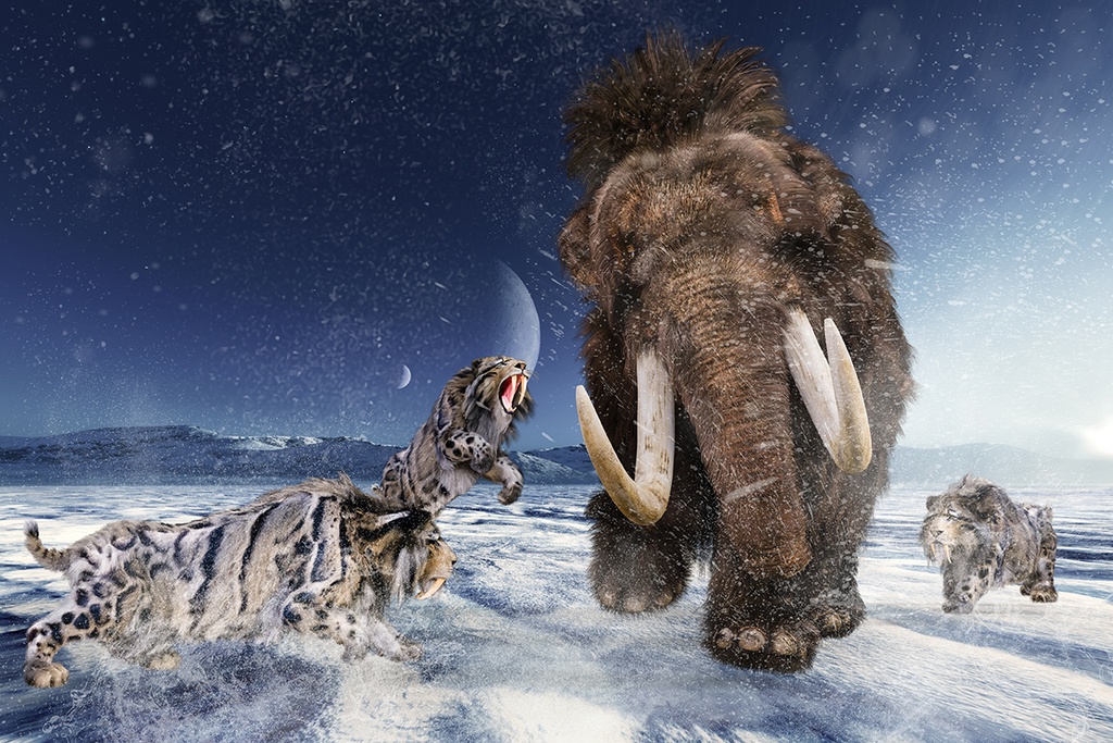 吹雪の中で一匹のマンモスに群れのサーベルタイガーが大きな口を開けて襲いかかる