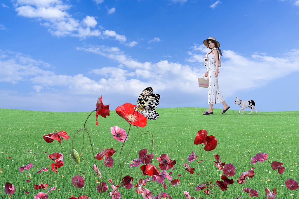 蝶々がポピーの蜜を吸う野原をフレンチブルドッグと散歩する女性