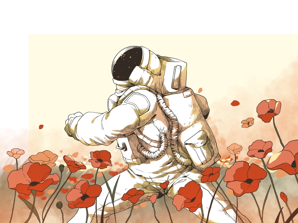 アネモネの花畑バック