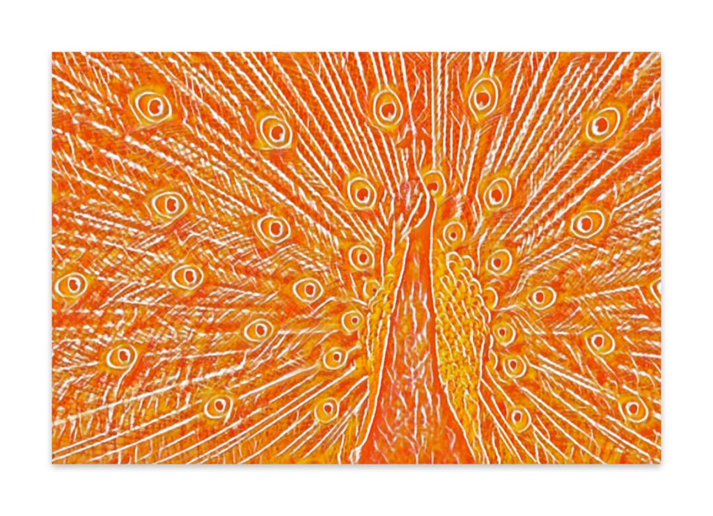 モザイククジャクのポストカード(10枚)