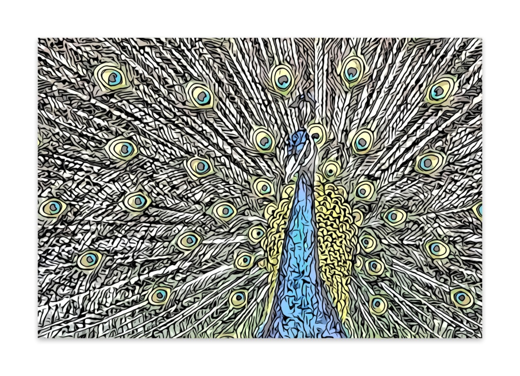 モザイククジャクのポストカード(10枚)