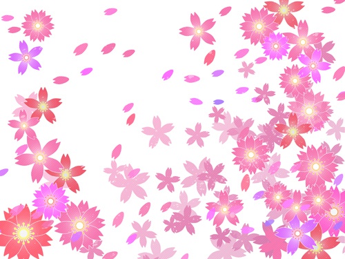 さくら背景高解像度02
