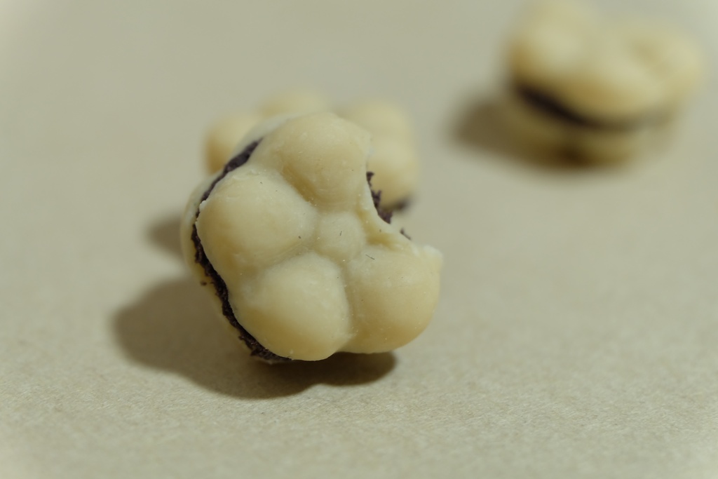 はなもなか / Monaka