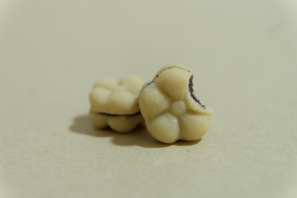 はなもなか / Monaka