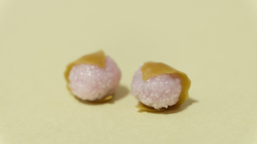 どうみょうじ / Domyouji