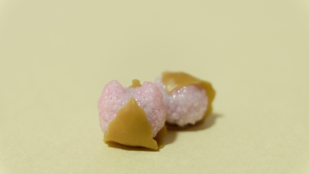 どうにゃうじ / Donyauji