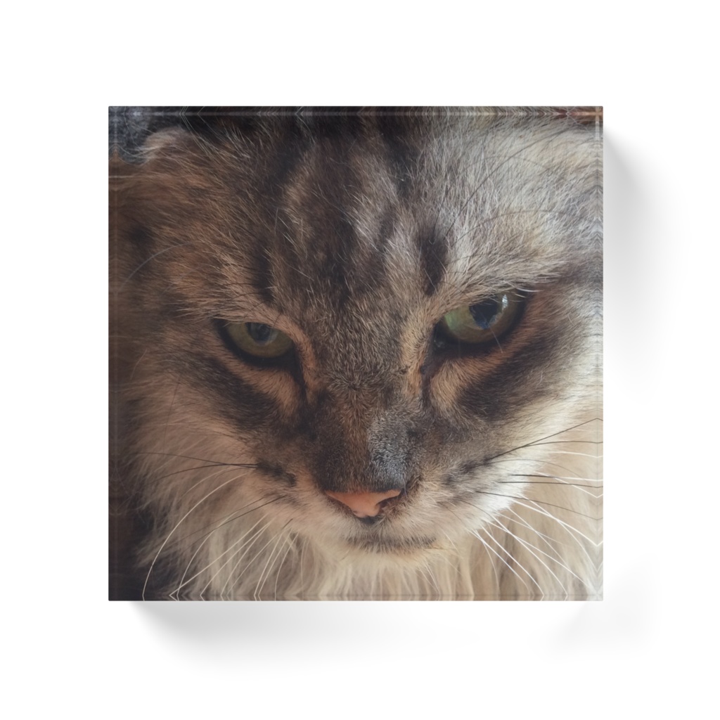 猫様アクリルブロック