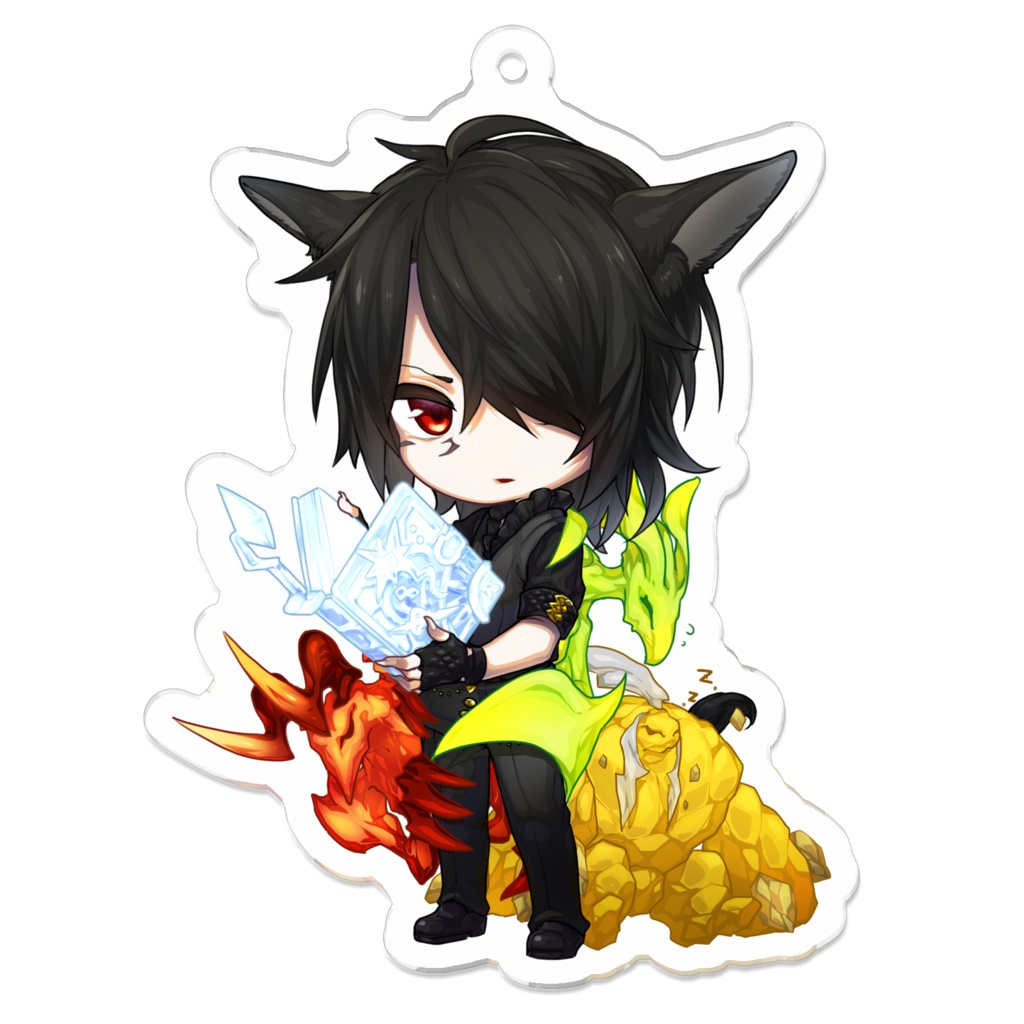 うちの子アクキー