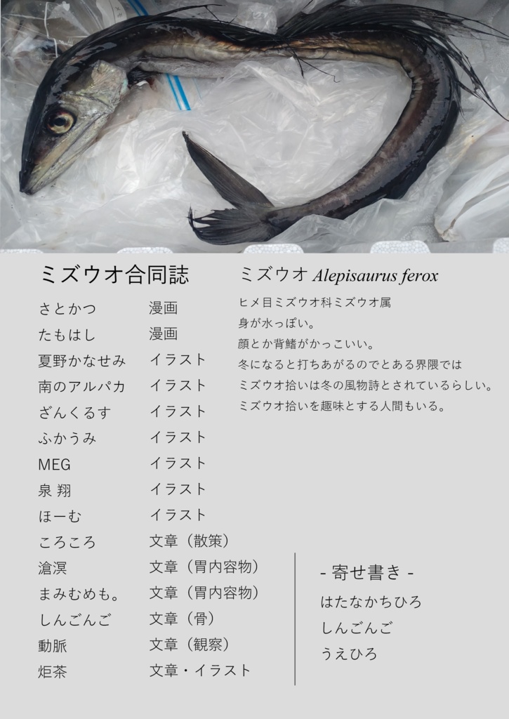 日本人気超絶の 2024年最新】ミズウオの人気アイテム 水魚(みずうお 