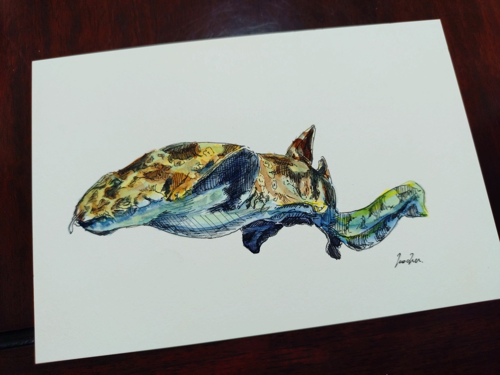 オオセ 原画