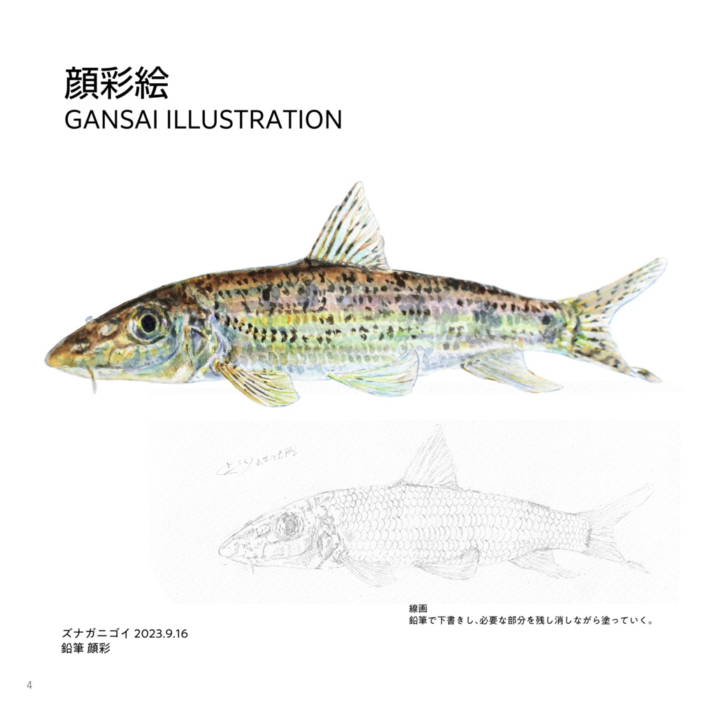 魚と画集(電子)