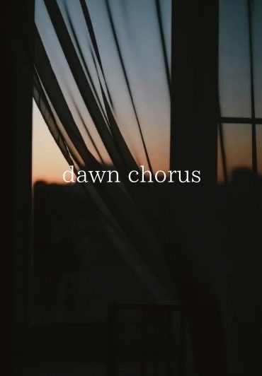 dawn chorus