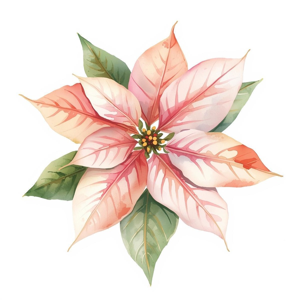 【水彩ガーリー】クリスマス クリップアート20点セット