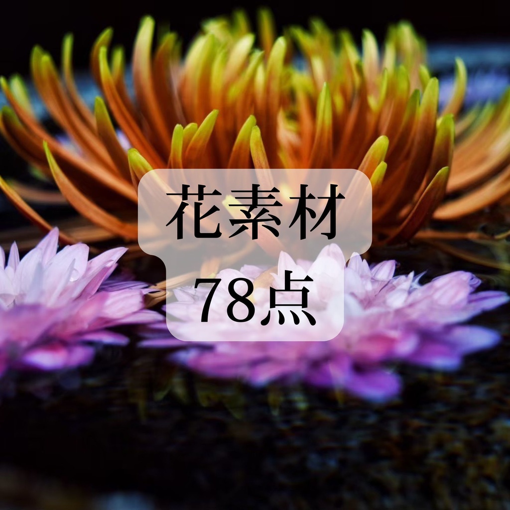 花 素材(78点)