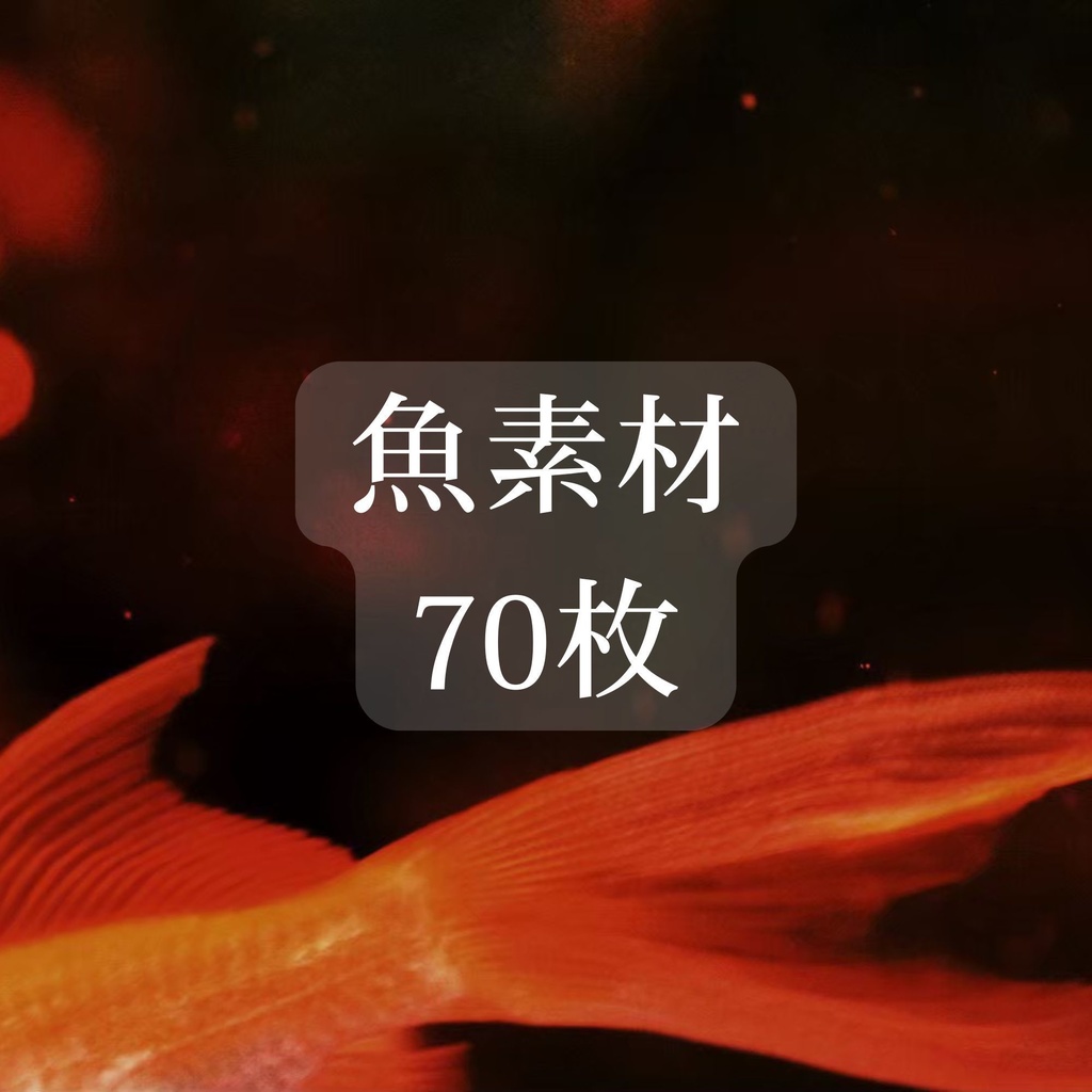 魚 素材 70点