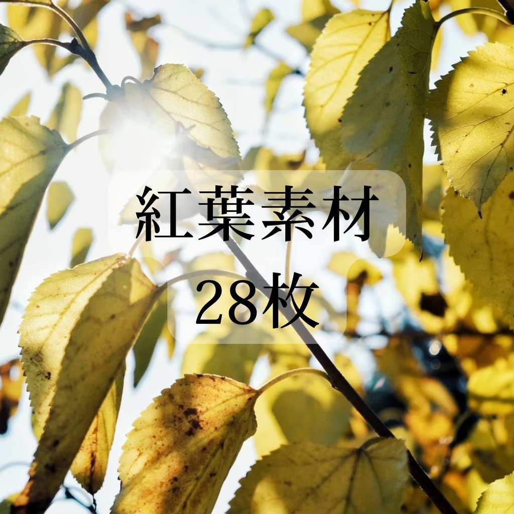 紅葉 28枚