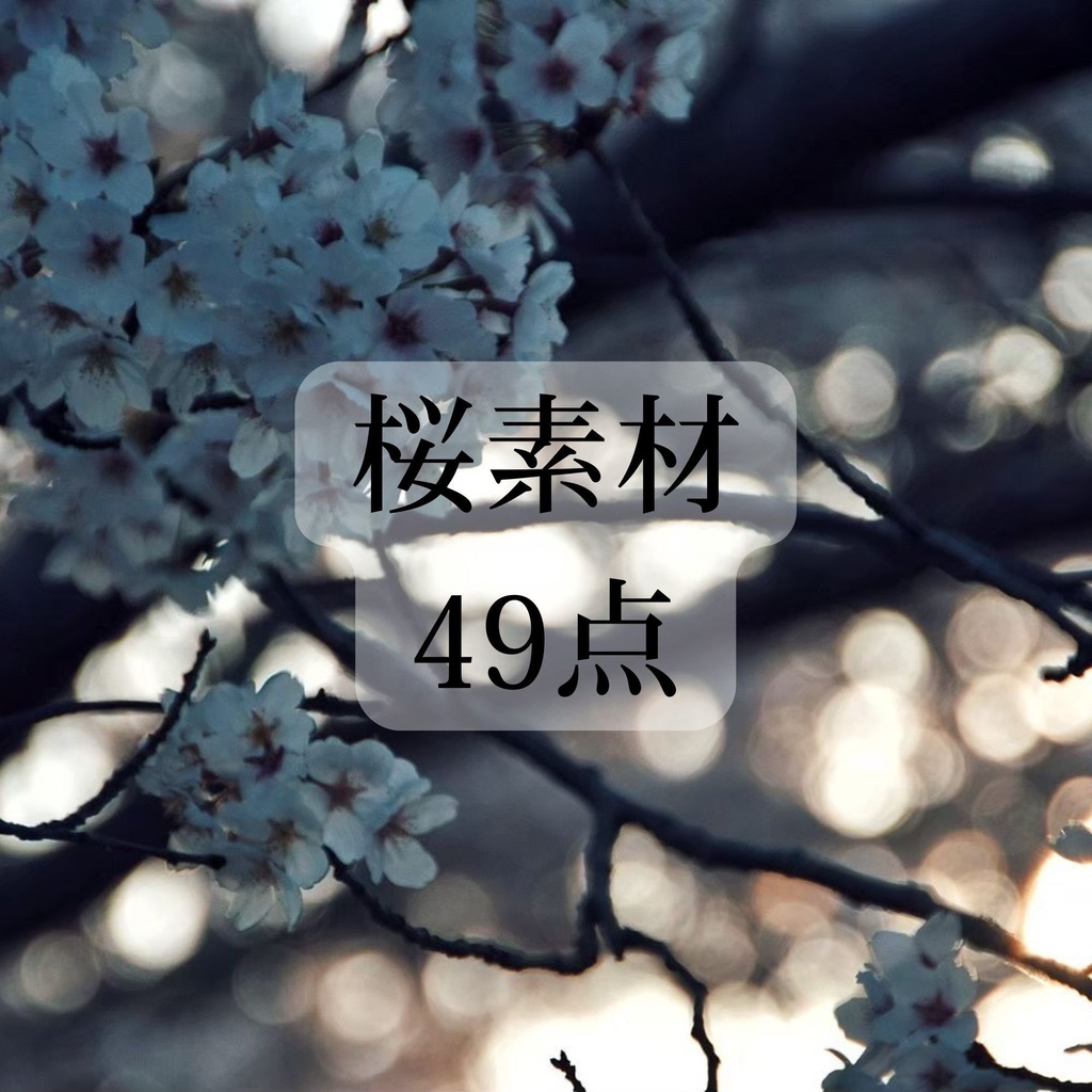 桜 素材 49点