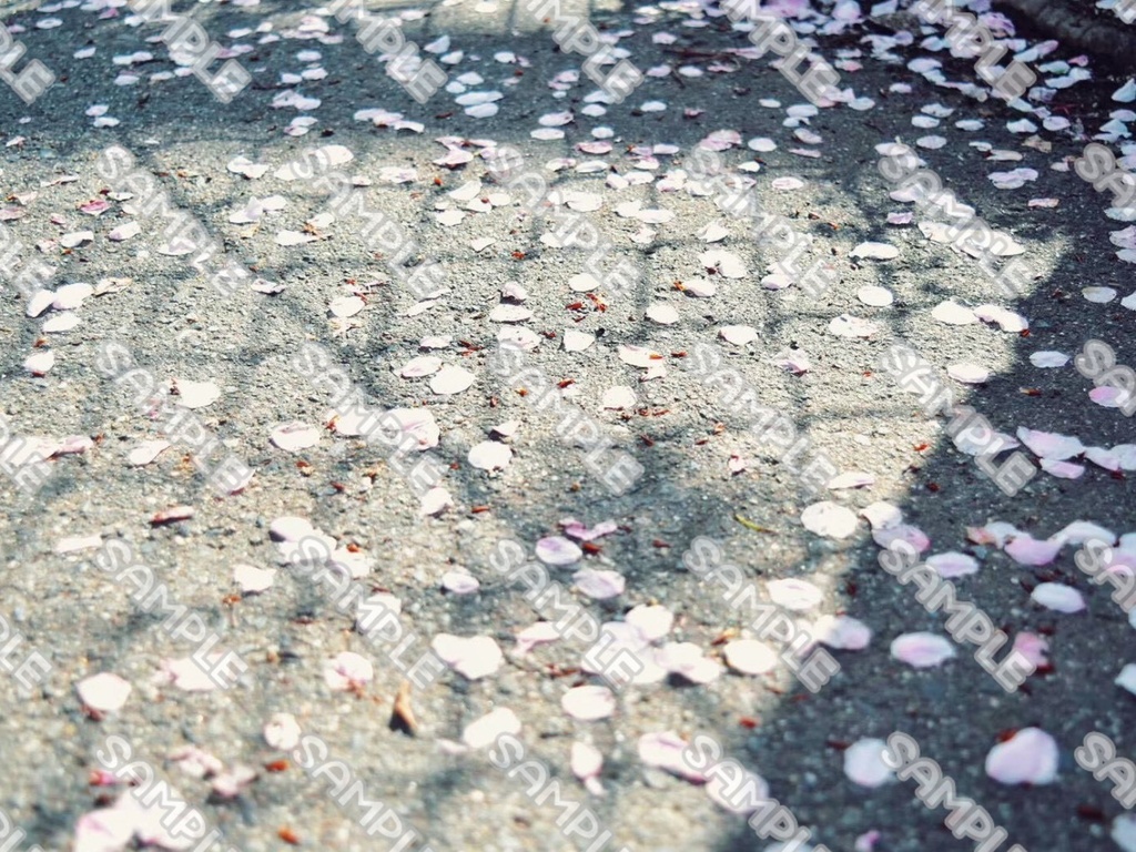 桜 素材 49点