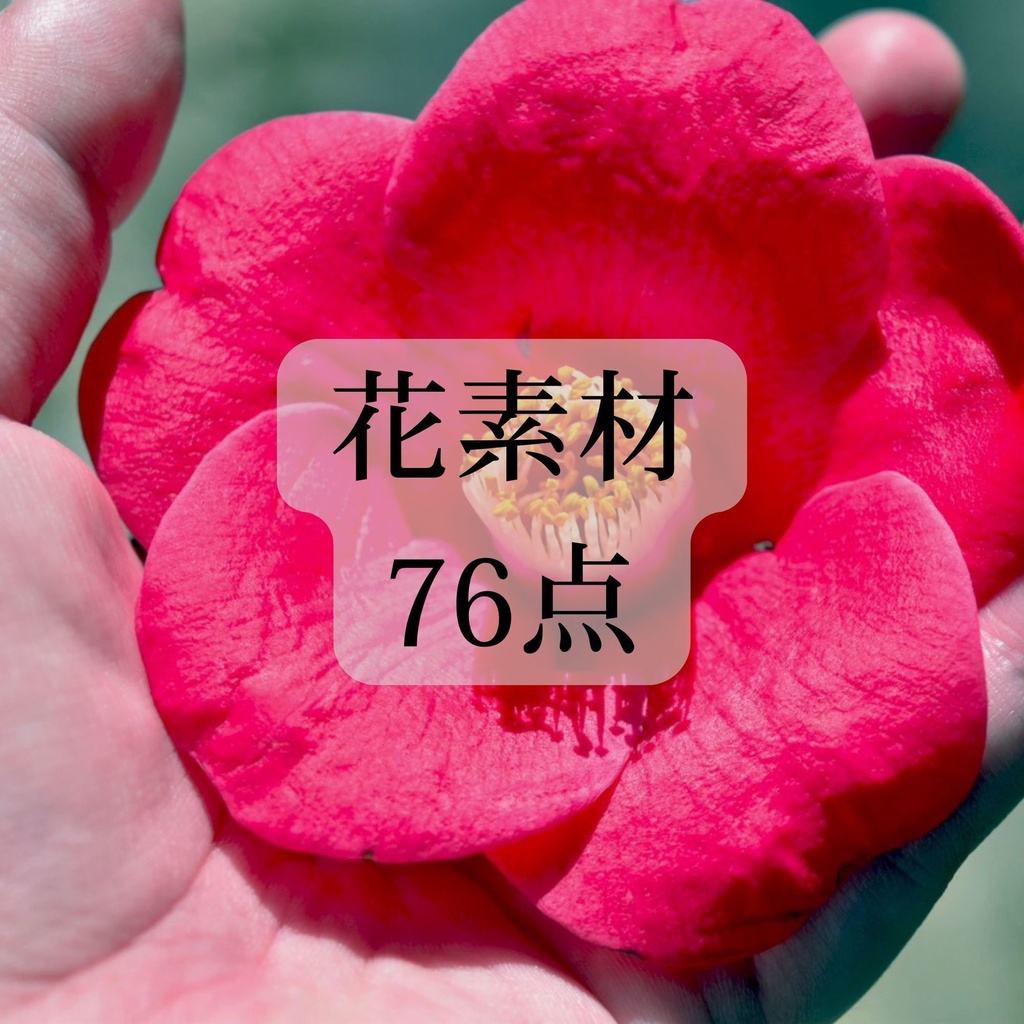 花 素材 ver.3 76点