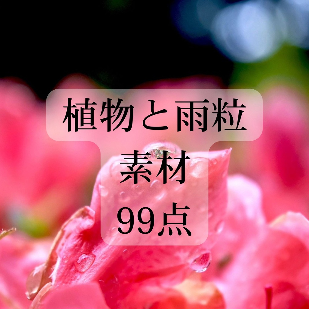 植物と雨粒(99点)