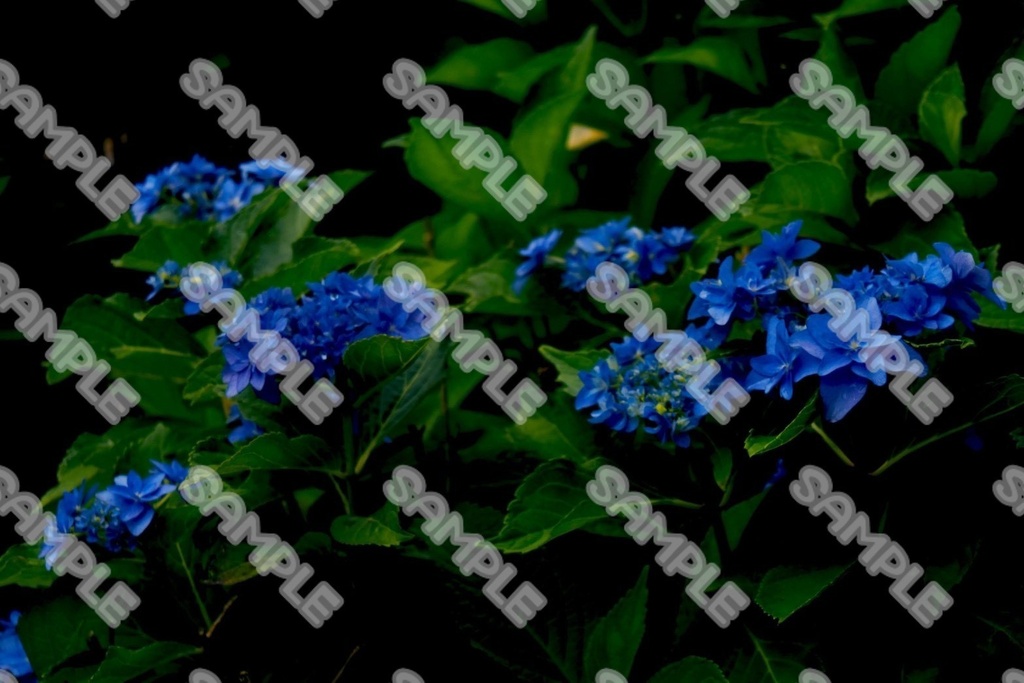 花 素材 ver.4 76点