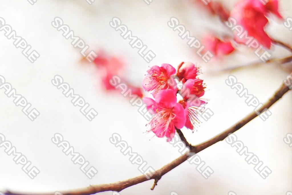 花 素材 ver.4 76点
