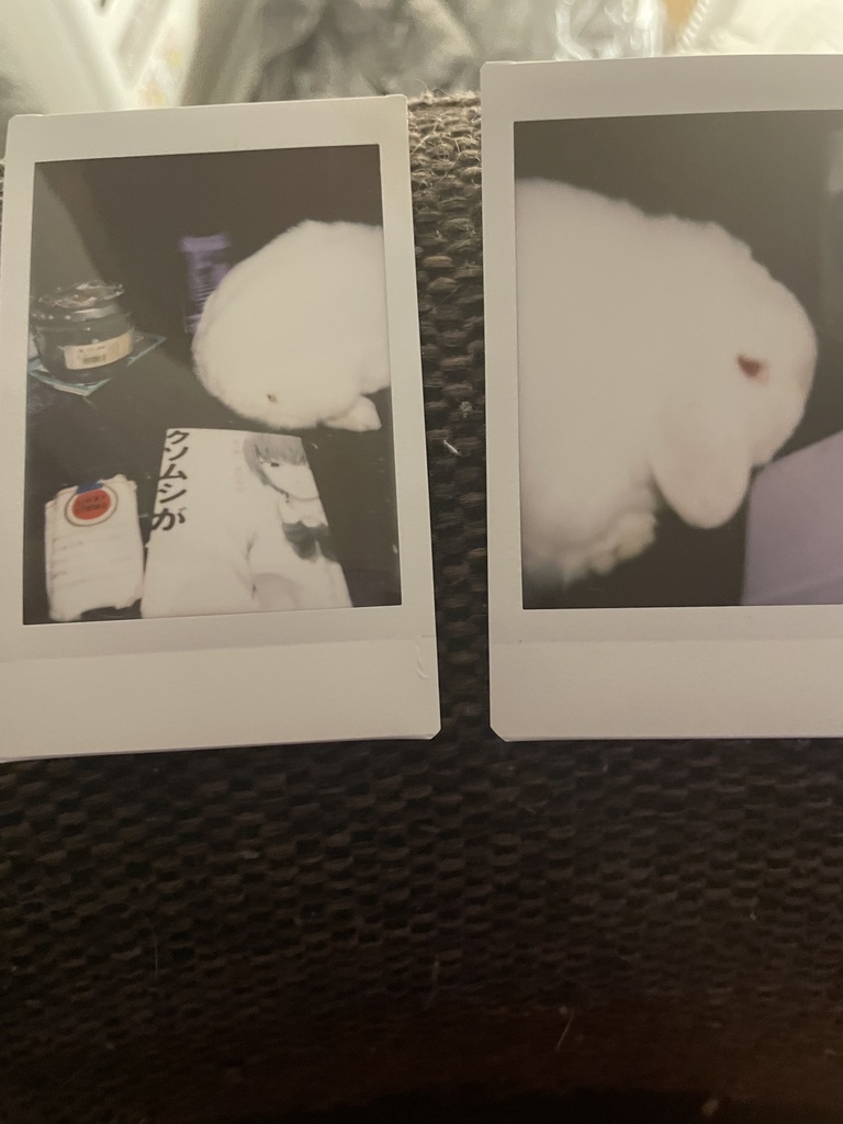 悪の華チェキ25