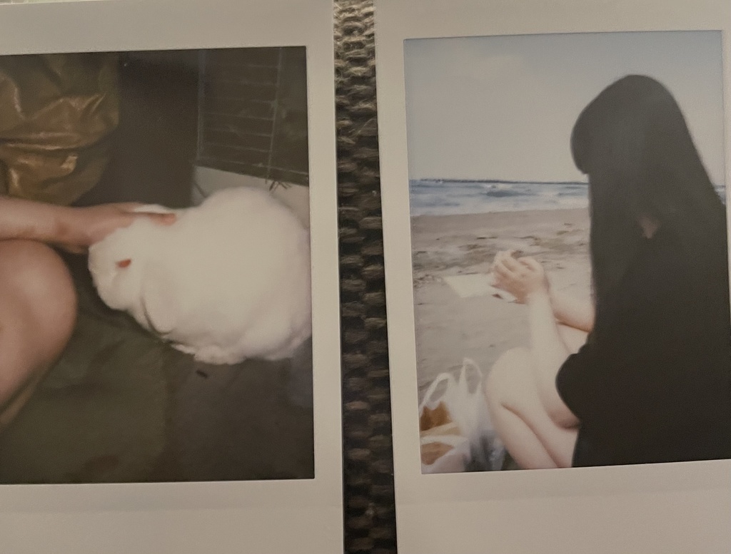 海とうさぎチェキ31