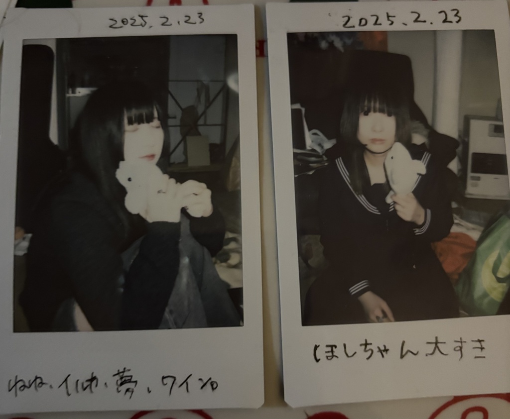 ねねちゃんと星セーラー