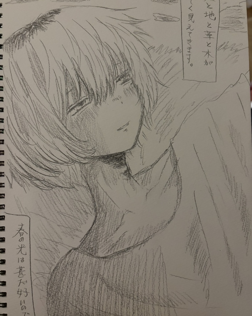 割れマグ様用