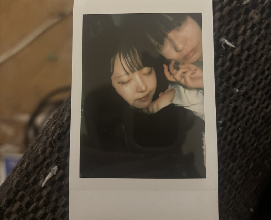 ポコてゃん天国