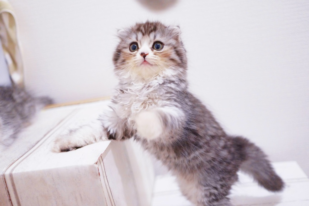 自宅から発送送料込