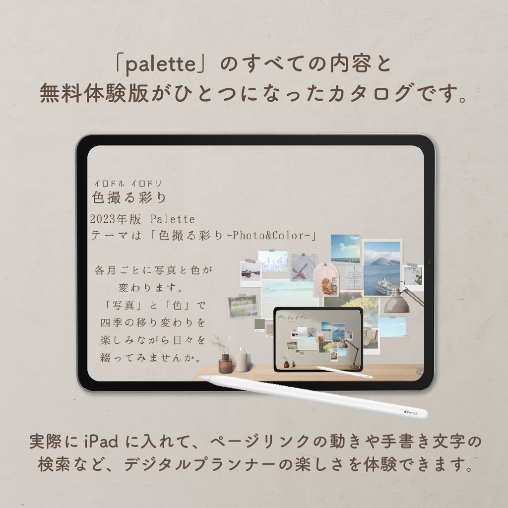 【無料】「palette2023 体験版付きカタログ」
