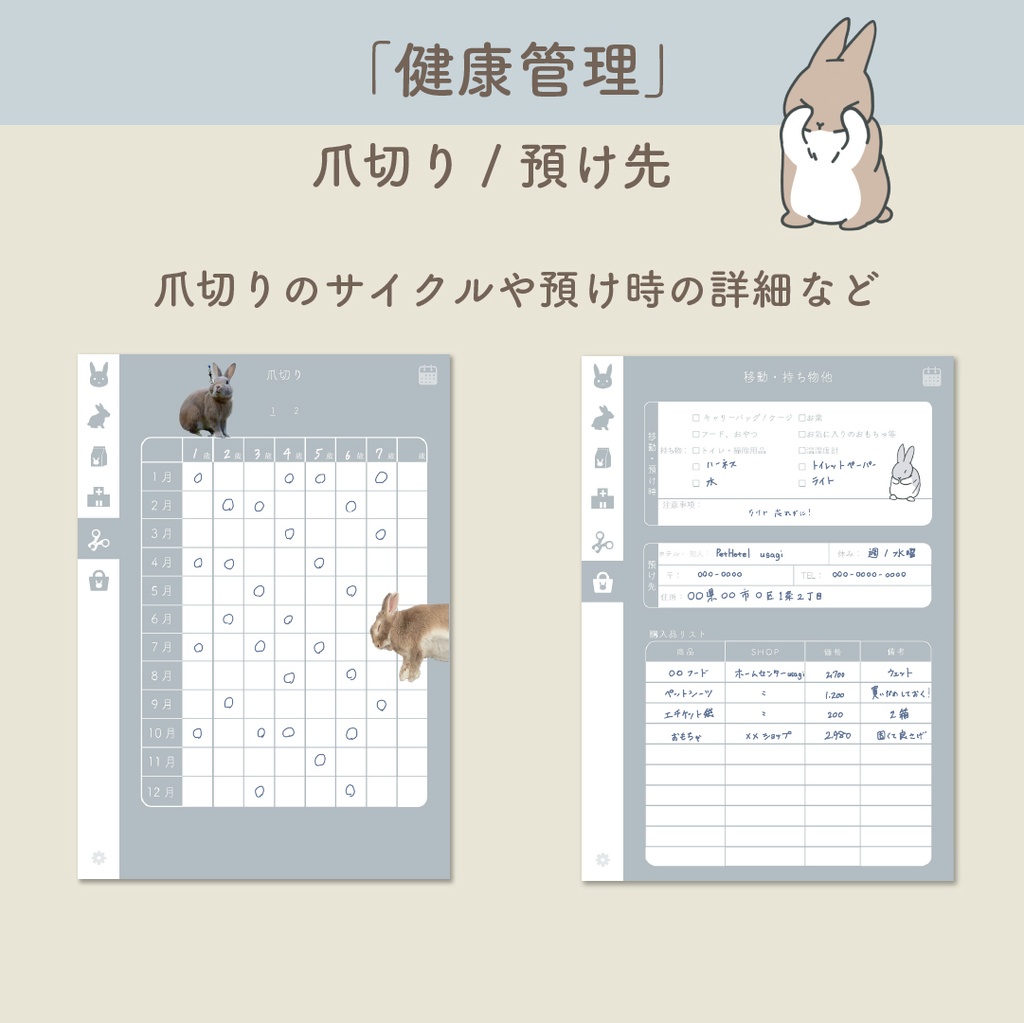 🐰「PetLog -usagi-」