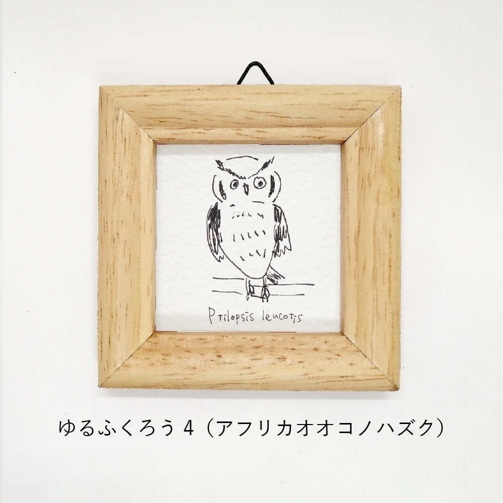 ミニ額 正方形【ゆるふくろう 5種】